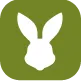 rabbit-greensquare